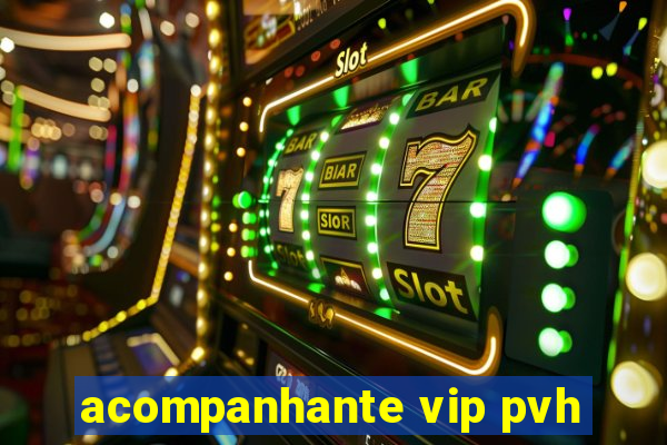 acompanhante vip pvh